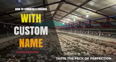 Summoning Chickens: A Guide to Naming Your Feathered Friend