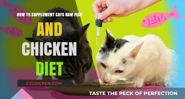 Raw Food Diet for Cats: Safe Chicken and Fish Supplements
