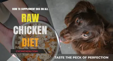 Raw Chicken Diet: Safe and Healthy for Your Dog?