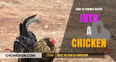 Hydrating Your Chickens: A Step-by-Step Guide to Syringe Watering