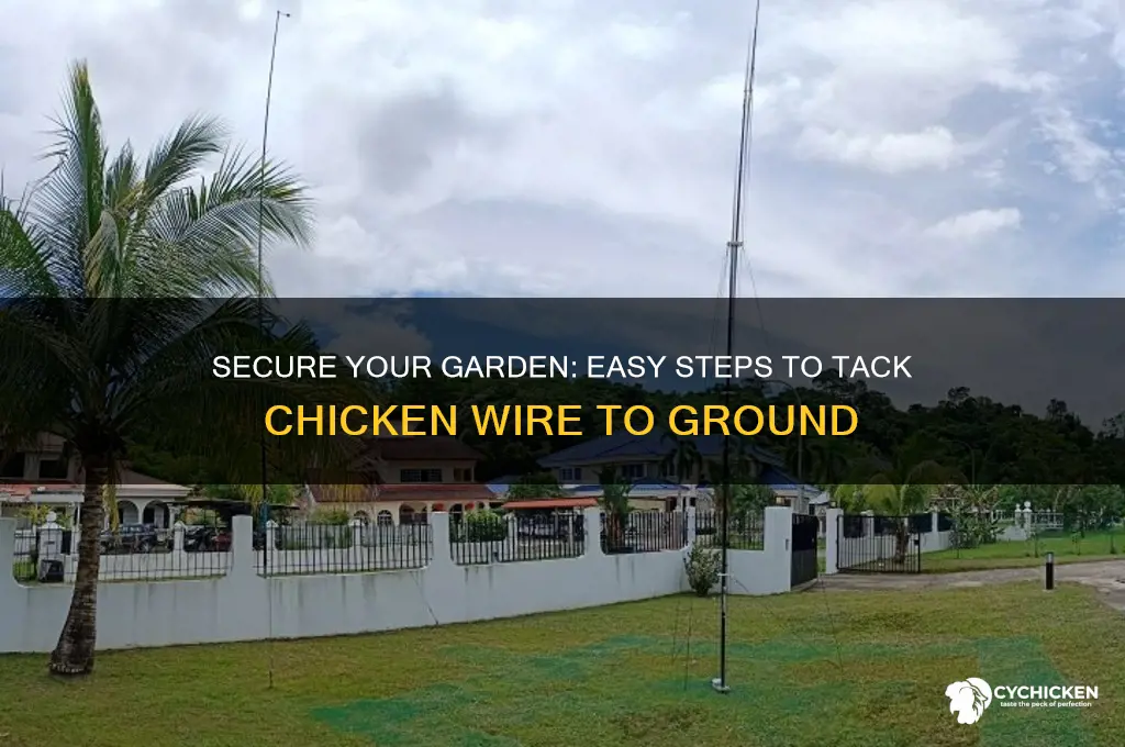 how to tack chicken wire to ground