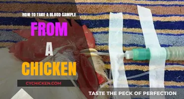 Drawing Blood: Chicken Sampling Techniques