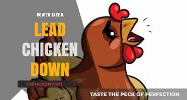 Mastering the Art of Safely Removing a Dominant Chicken from the Flock