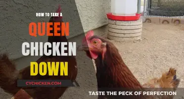 Mastering the Art of Safely Removing a Dominant Hen