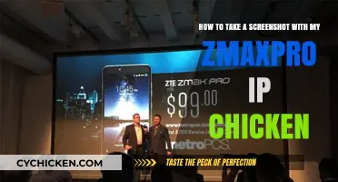 Easy Screenshot Capture with ZTE Zmax Pro