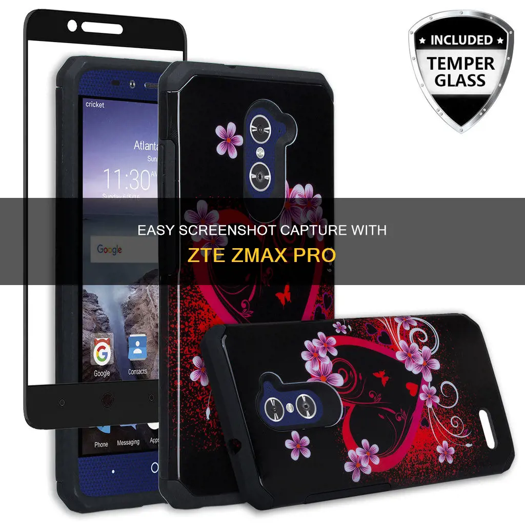 how to take a screenshot with my zmaxpro ip chicken