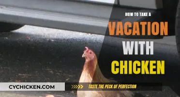 Cluck and Relax: Your Guide to Vacationing with Chickens