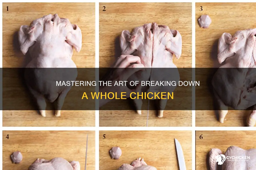 how to take apart a full chicken