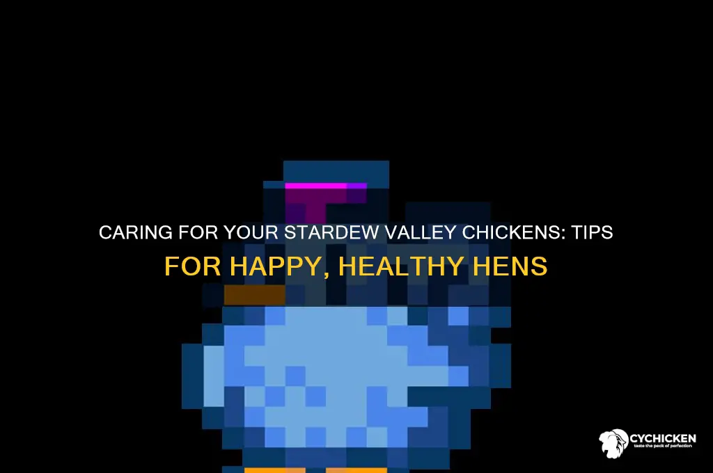how to take care of chicken stardew