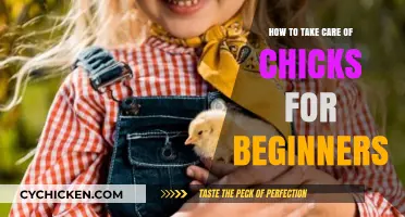 Caring for Chicks 101: Beginner's Guide to Happy, Healthy Baby Birds
