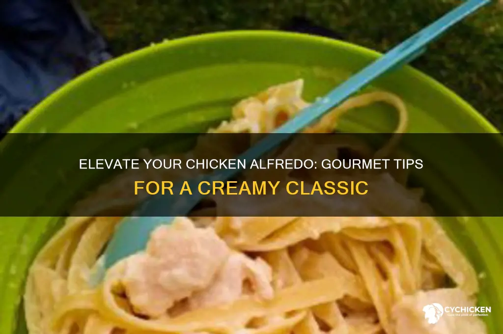 how to take chicken alfredo up a notch