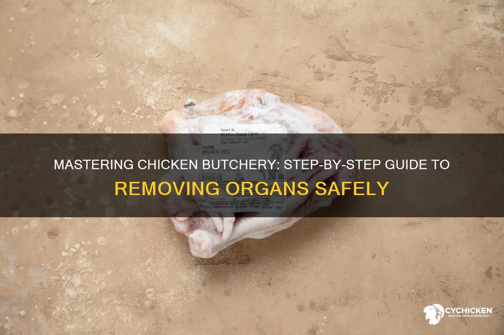 how to take out organs out of chicken