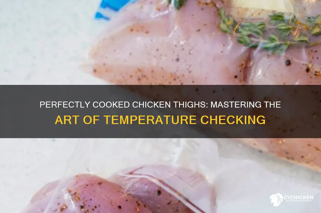 how to take temp of chicken thigh