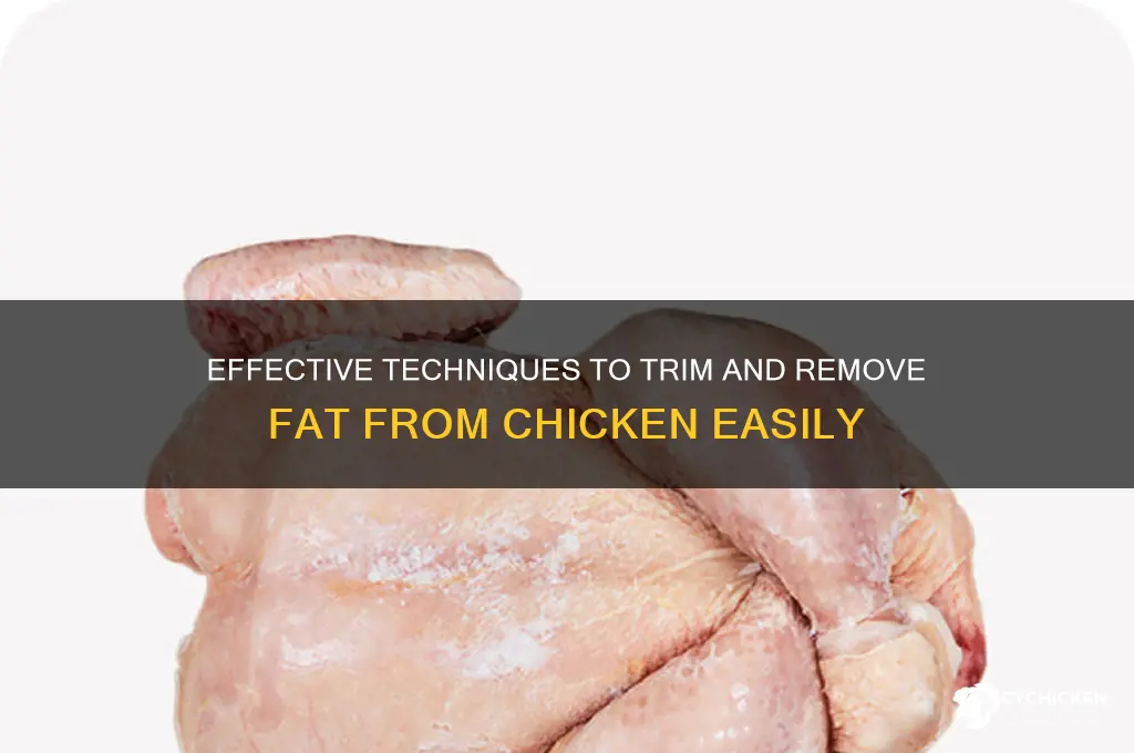how to take the fat off the chicken