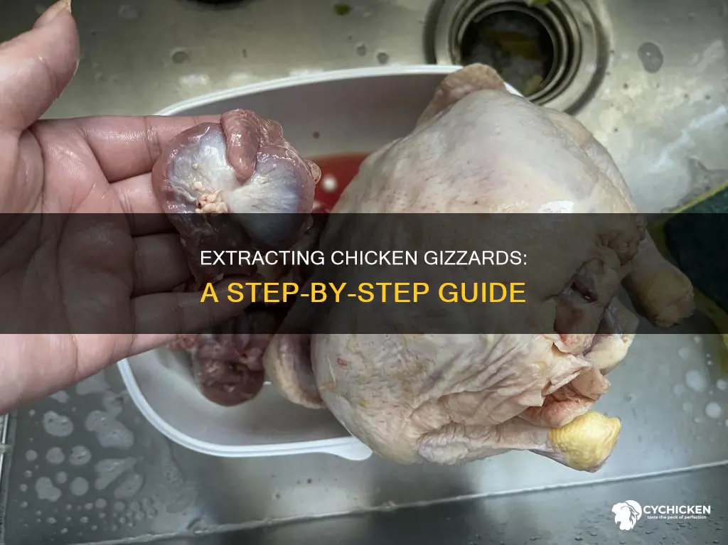 how to take the gizzards out of a chicken