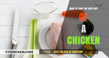 Taking the Guts Out: A Step-by-Step Guide to Chicken Prep