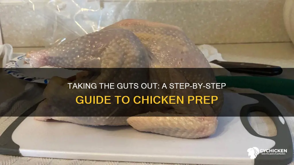 how to take the guts out of a chicken