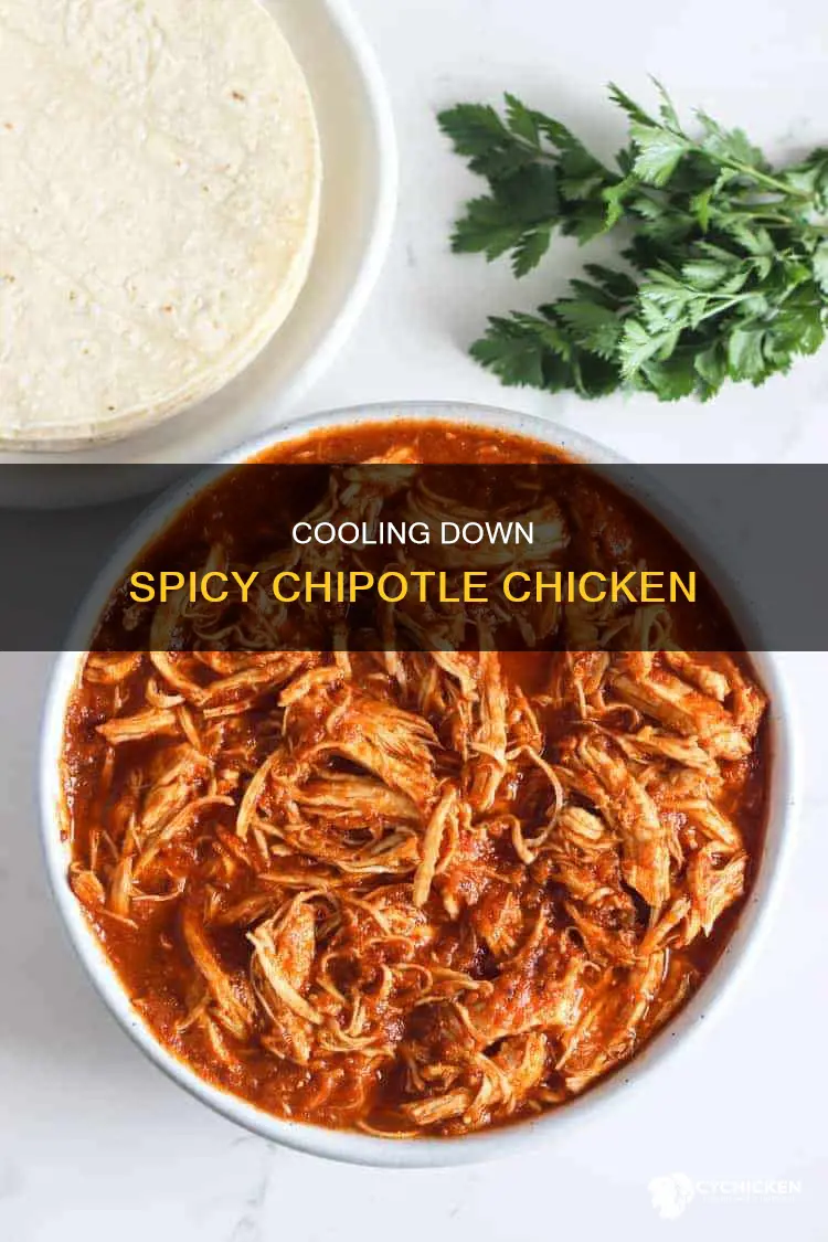 how to take the heat out of chipotle chicken