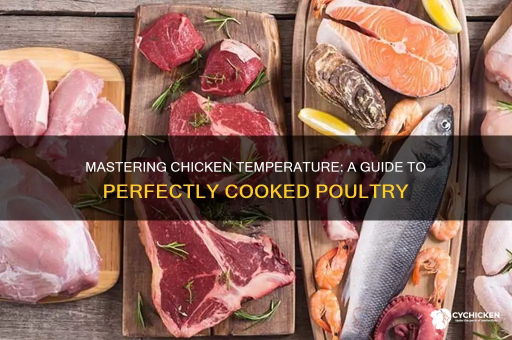 how to take the temp of a chicken