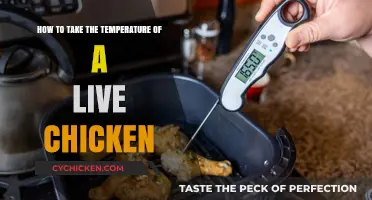 Checking a Chicken's Temperature: A Step-by-Step Guide