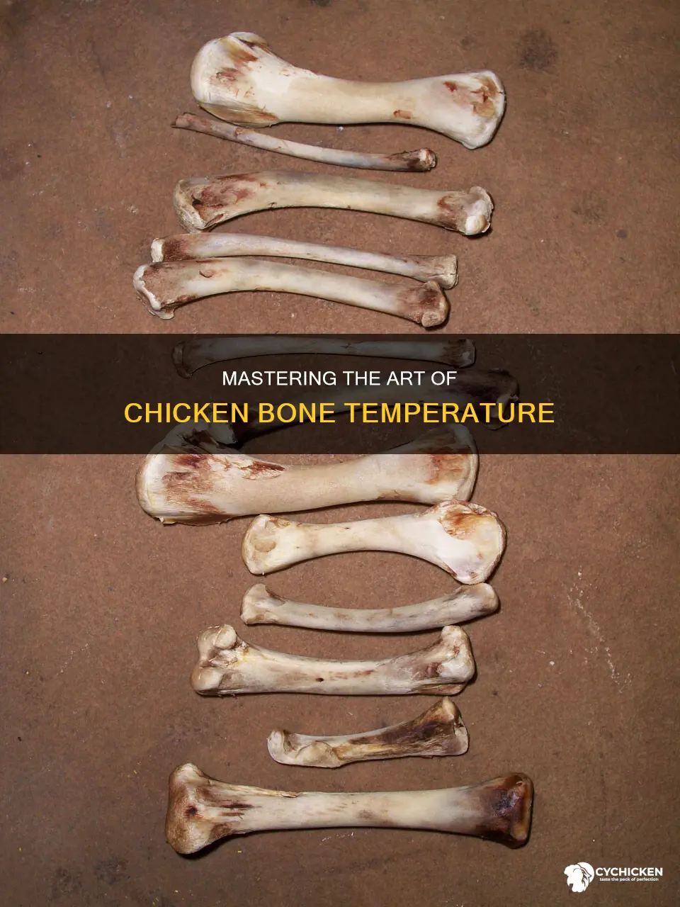 how to take the temperature of bone in chicken