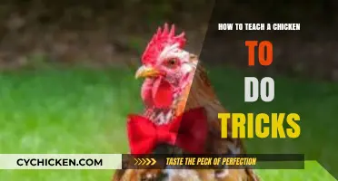 Training Chickens: Fun Tricks and Techniques for Clever Cluckers