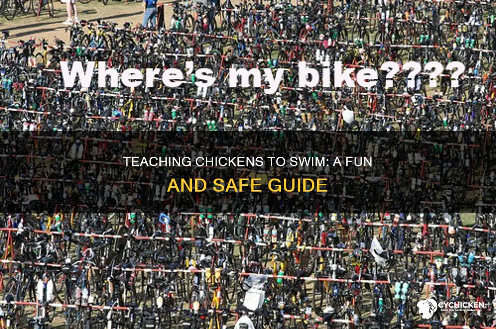 how to teach a chicken to swim