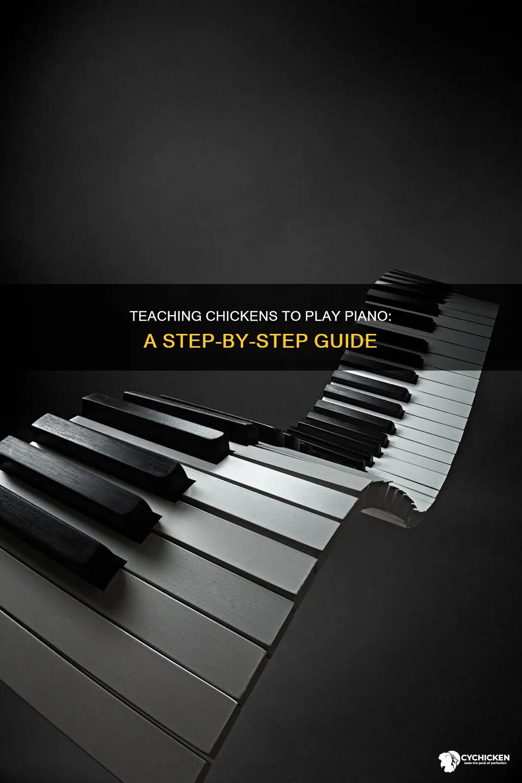 how to teach your chicken to play the piano