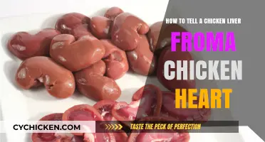 Chicken Organs: Heart and Liver Differences