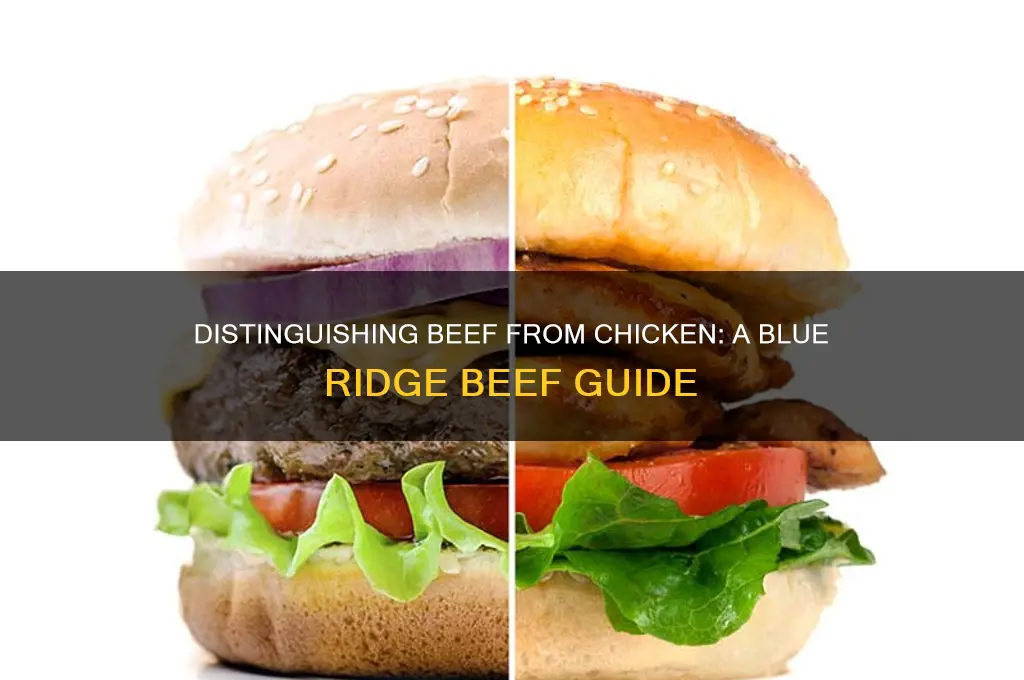 how to tell beeffrom chicken blue ridge beef