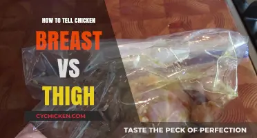 Chicken Breast vs Thigh: Key Differences and How to Identify