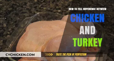 Chicken or Turkey: Quick Tips to Identify the Difference