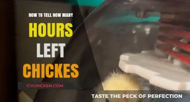 Counting Down: How to Determine Remaining Hours for Chick Hatching