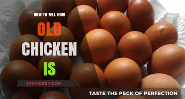 Determining Chicken Age: Simple Tips to Check Freshness and Quality