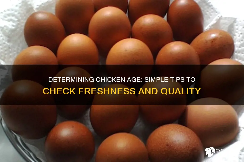 how to tell how old chicken is