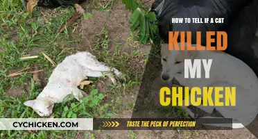 Did My Cat Kill the Chicken?