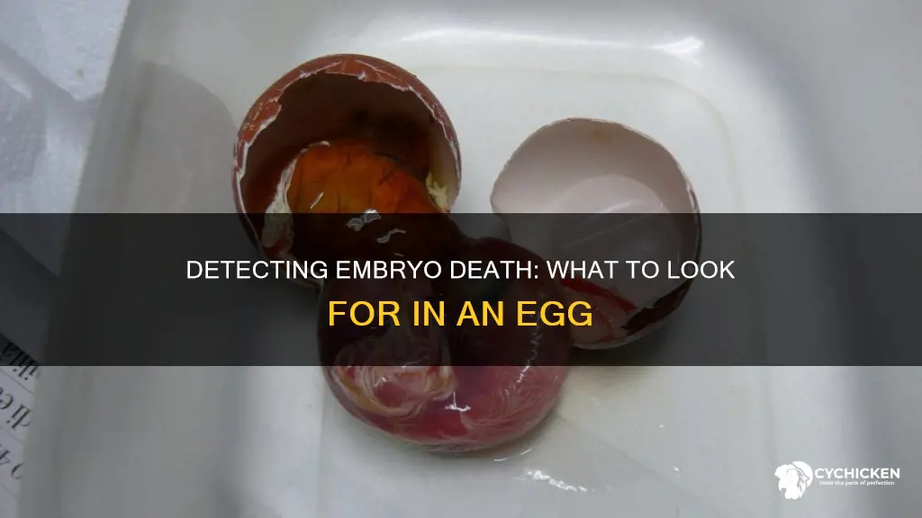 how to tell if a chick died before hatching