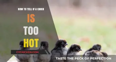 Recognizing When a Chick Is Too Hot
