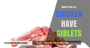Identifying Chicken Giblets: A Simple Guide for Home Cooks