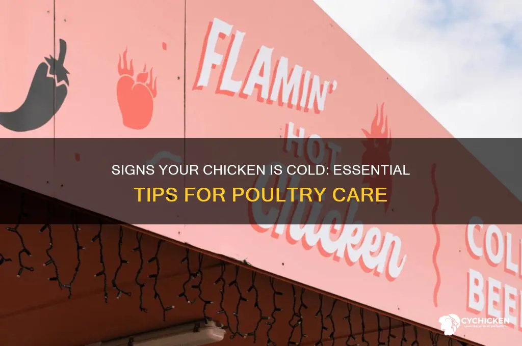 how to tell if a chicken is cold