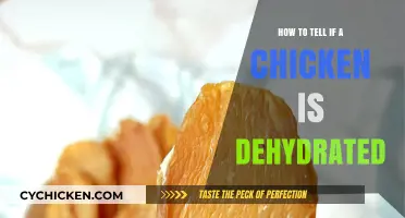 Spotting Dehydration in Chickens: Essential Signs and Quick Remedies