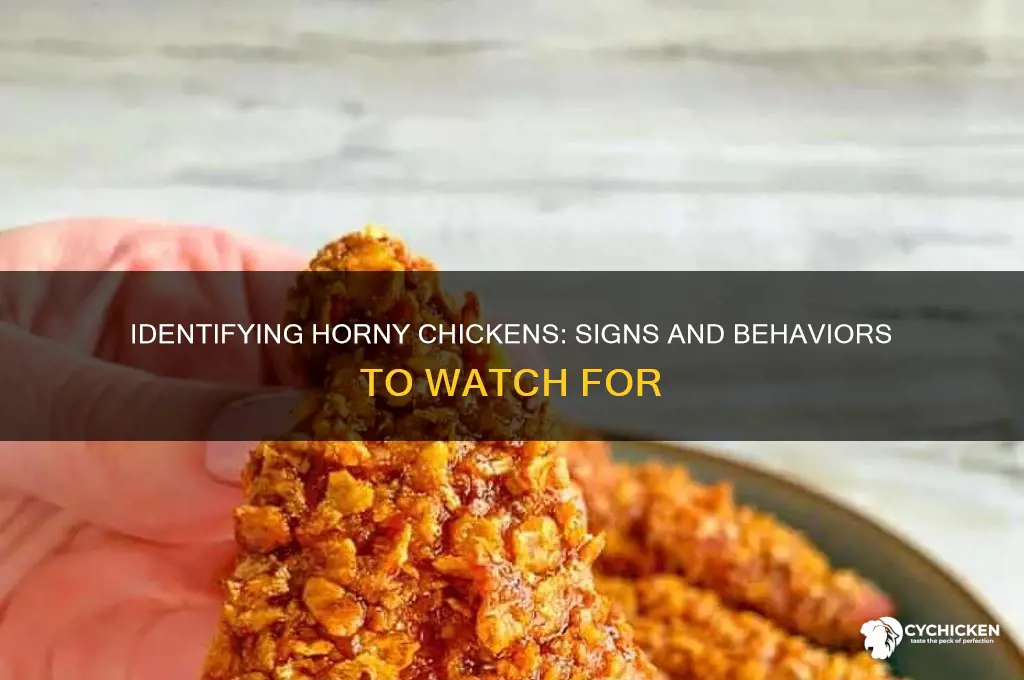 how to tell if a chicken is horney