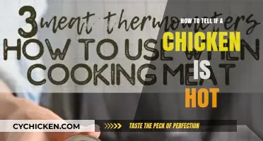 Is Your Chicken Too Hot? Quick Tips to Check Temperature
