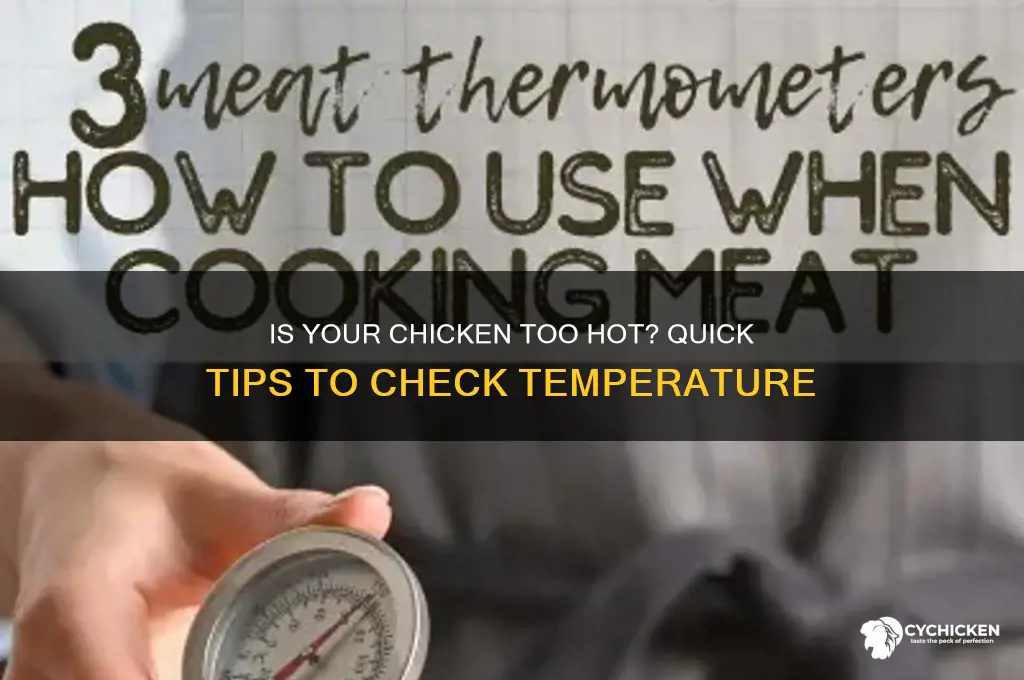 how to tell if a chicken is hot