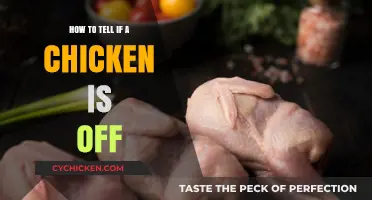Is Your Chicken Safe? Signs It's Gone Bad and What to Do