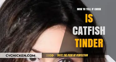 Spotting Catfish on Tinder: How to Verify Your Chick's Identity