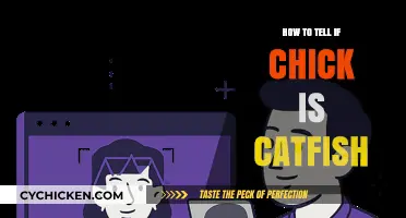 Spotting Catfish Chicks: Essential Tips to Identify Fake Profiles