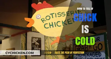 Is Your Chick Cold? Signs and Solutions for Happy Chicks