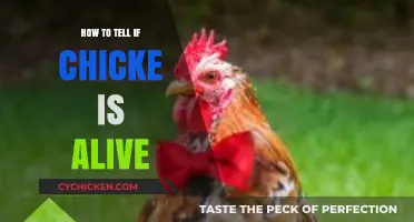 Is Your Chicken Okay? Quick Ways to Check if It’s Alive