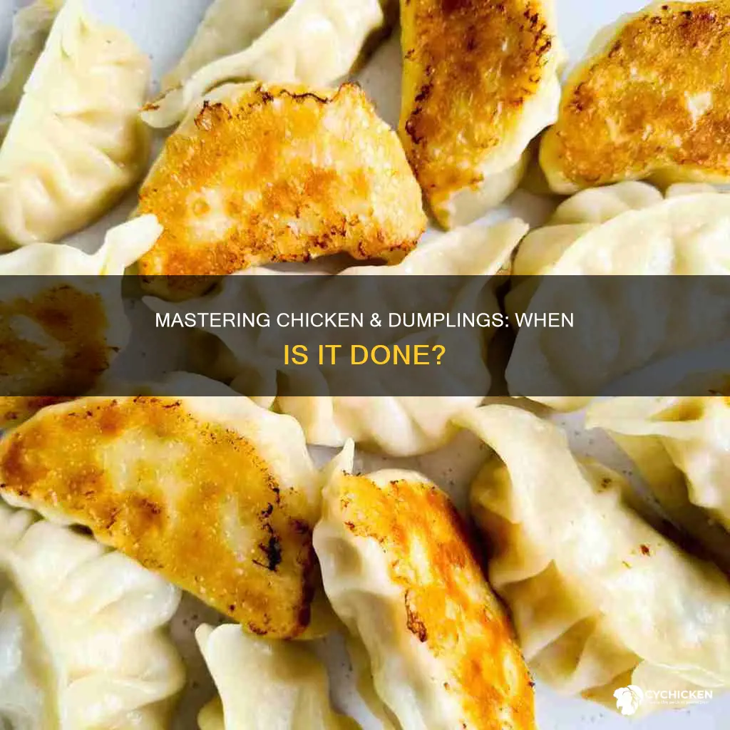 how to tell if chicken and dumplings are done